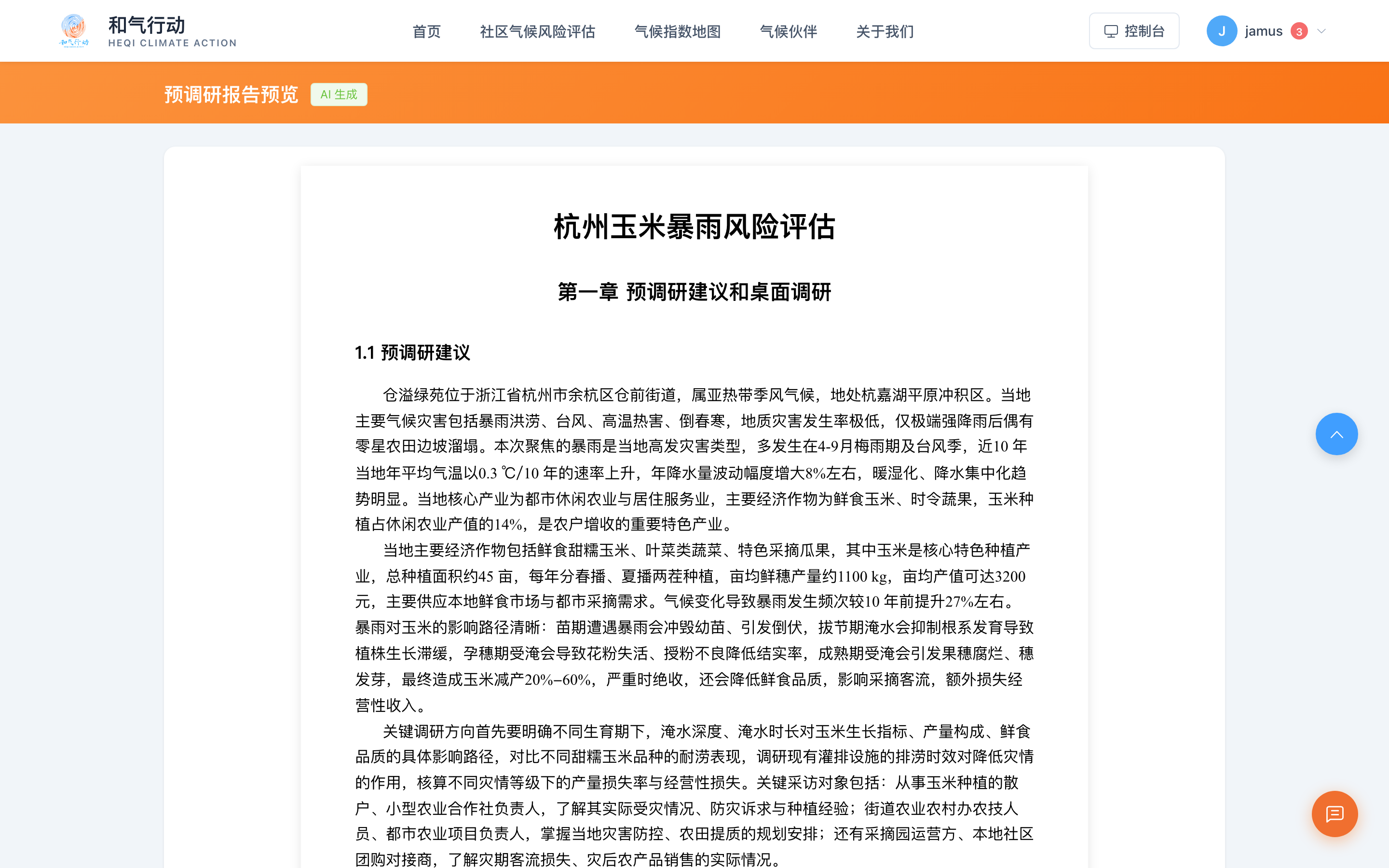 在线查看报告